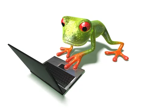 PCSUD30 logo grenouille